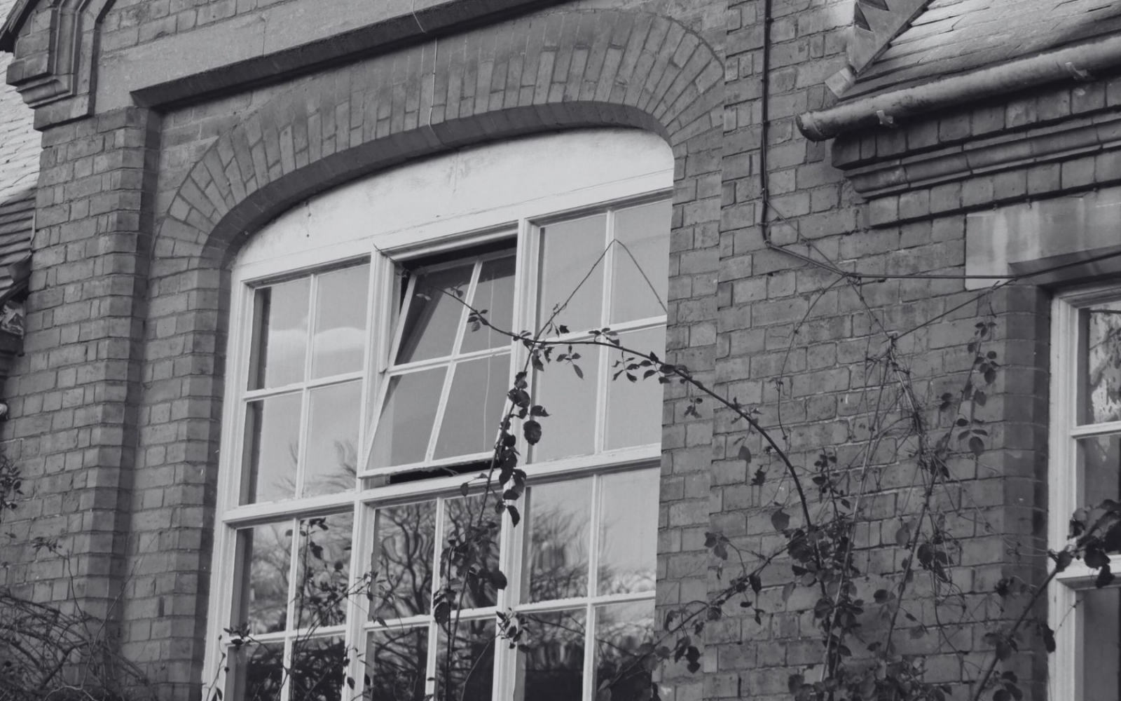 The Cotton Mews